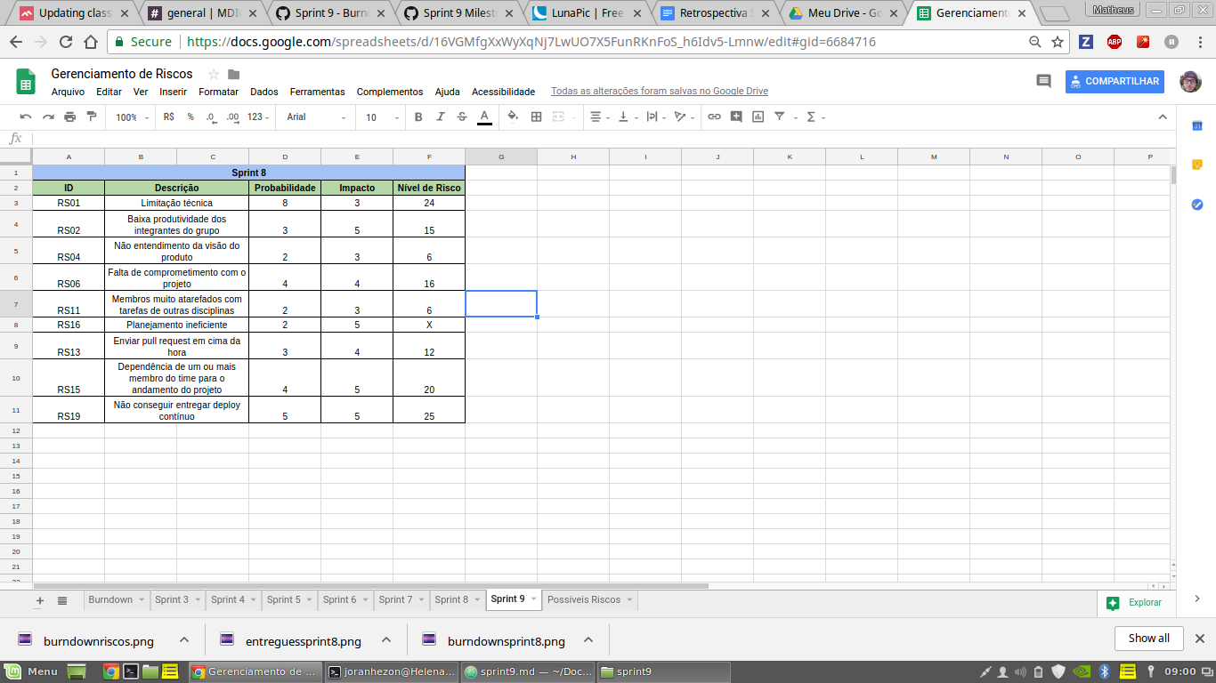 Riscos Sprint 9